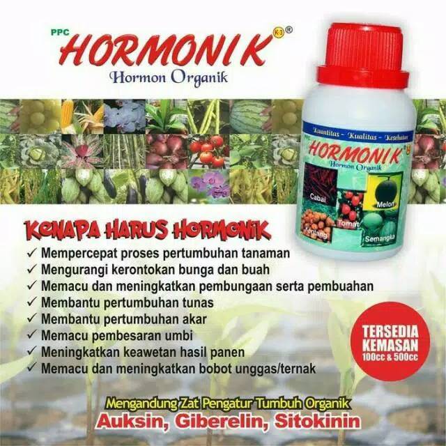 Paket Pupuk Pelebat Perangsang Buah Organik/Powernutrition Hormonik Supernasa