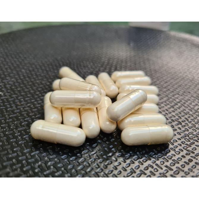 PROMO 30 Kapsul Colostrum Untuk Gemukin Kucing