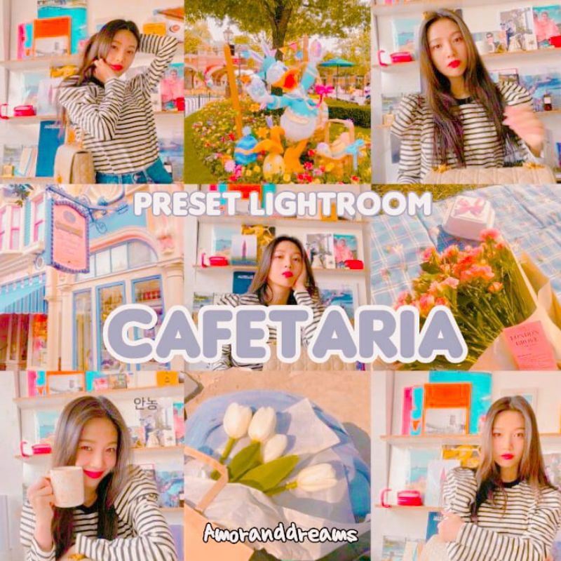 PRESET LIGHTROOM PREMIUM FOR IOS OR ANDROID