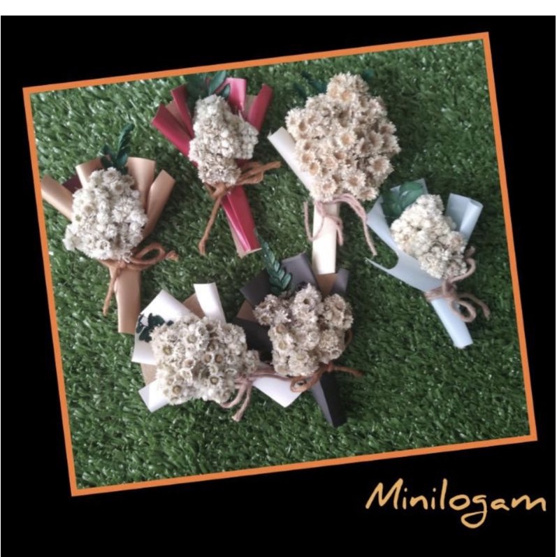 

Mini buket/bunga budidaya