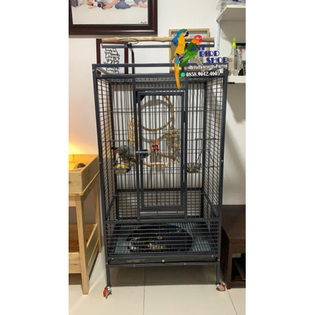 Kandang Afgrey parrot large