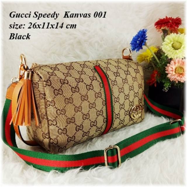 Gucci Speedy Kanvas 001