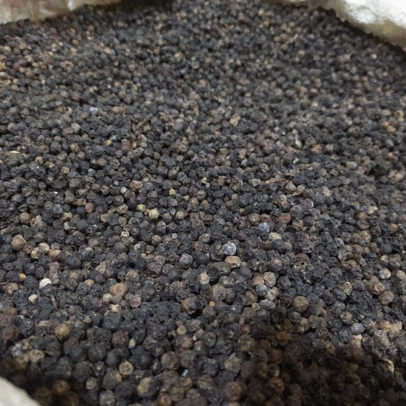 Biji Lada Hitam / Black Pepper Sumatera 500G Gram 1/2 Kilo Dijamin Fresh!!!