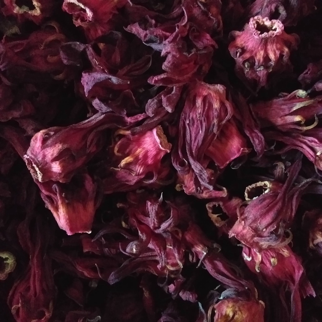 

Rosella Merah Kering