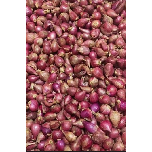 

Bawang merah Sayur