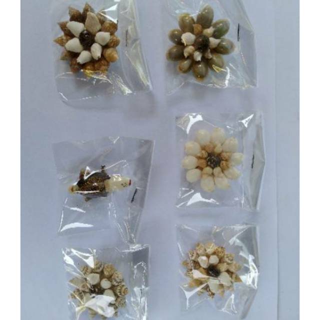 (BISA COD) BROS KERANG 1 SET ISI 20 PCS - SOUVENIR UNIK CANTIK MURAH KHAS JOGJA