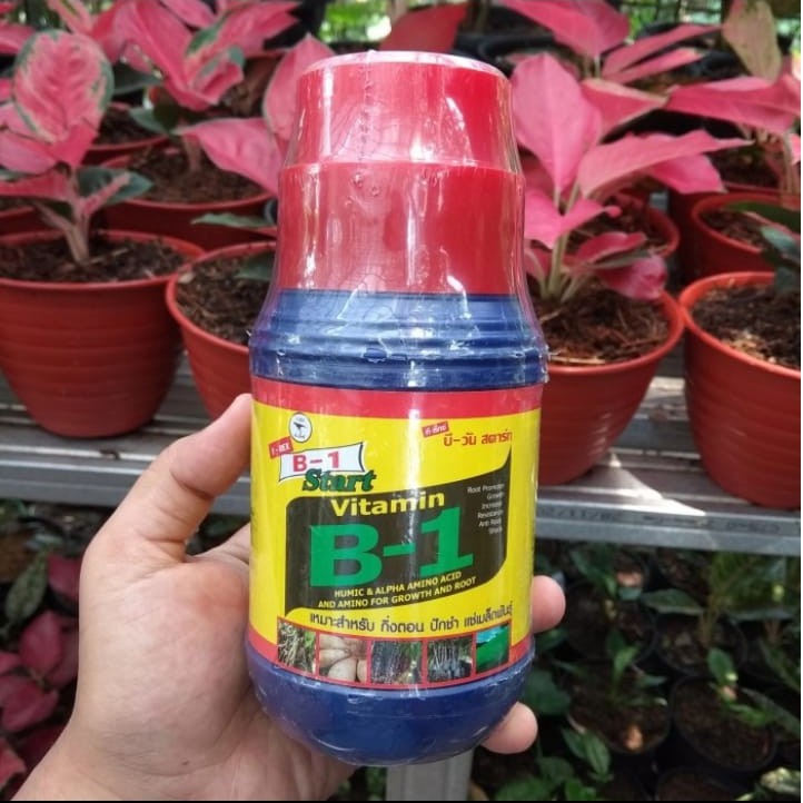 GP Pupuk Vitamin B1 Start ORI 100% Thailand (500 ml)