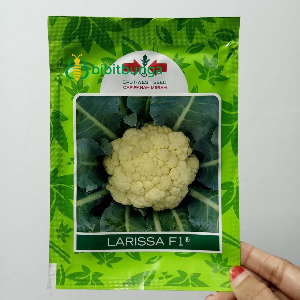 Benih Biji Bibit Kembang Bunga Kol Hidroponik Putih Larissa F1 10gr Cap Panah Merah