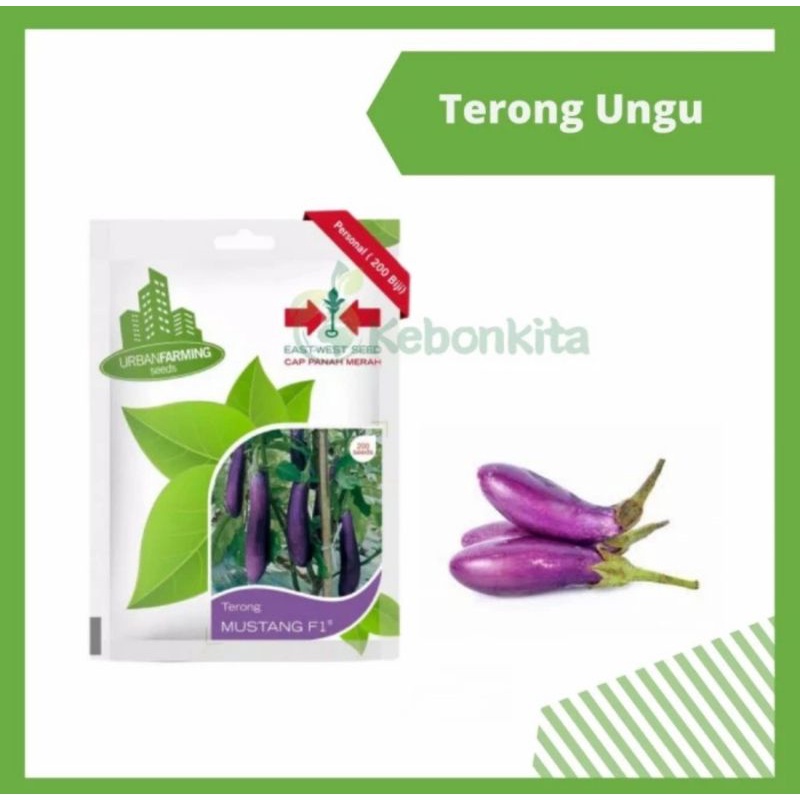 Benih Bibit Terong ungu 200seeds Cap panah Merah