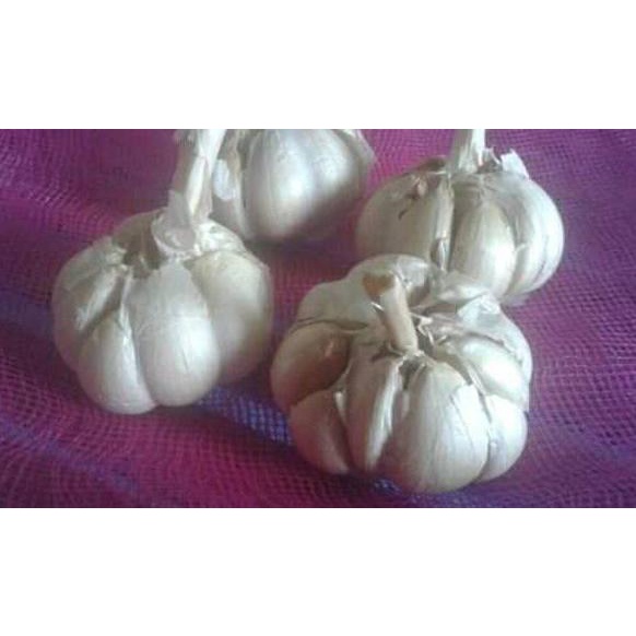 

Jangan Diklik!✔️ Bawang putih sinco bersihan 1 kg #PRICEDISCOUNT