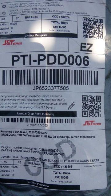 Couple Kamelia Couple Camelia Couple Ratu Melina