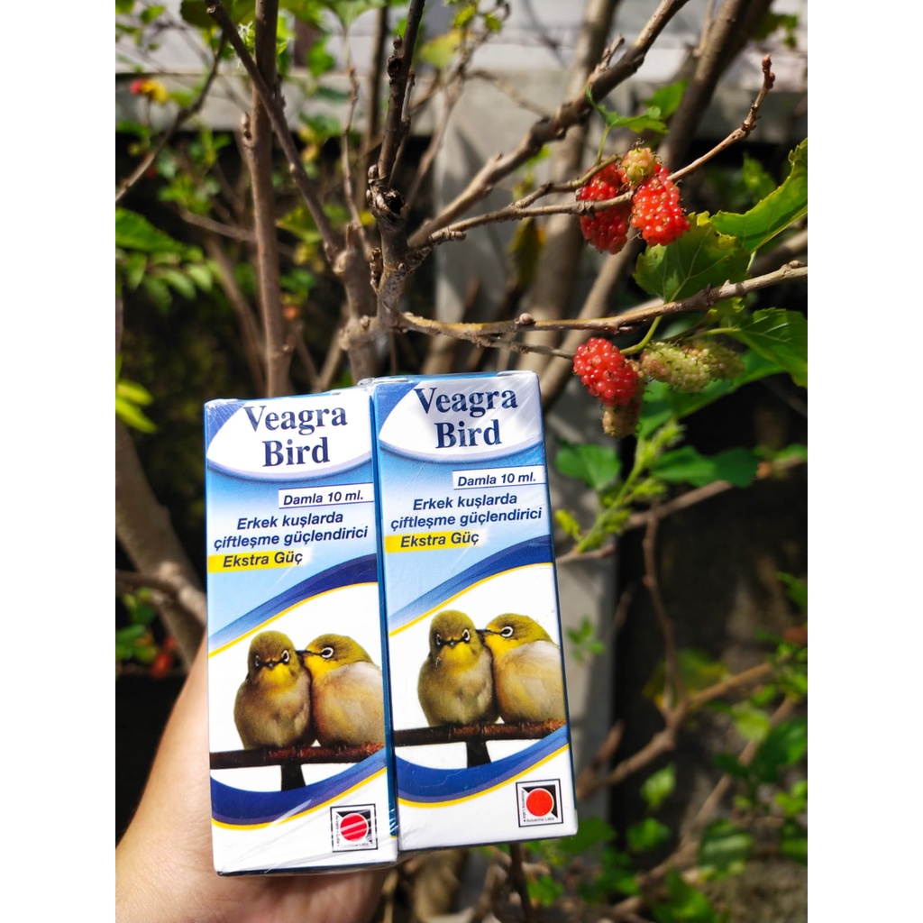 VEAGRA BIRD 10ML - AVICENNA LABS - TURKI