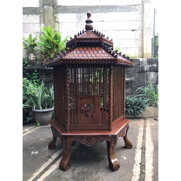 sangkar ayam bekisar, sangkar burung beo