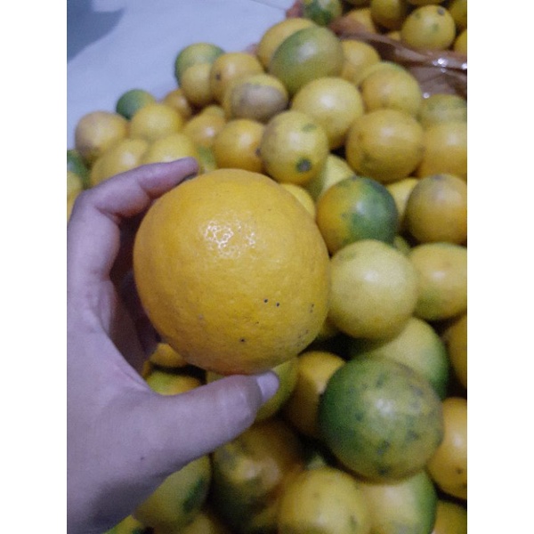 

lemon california lokal