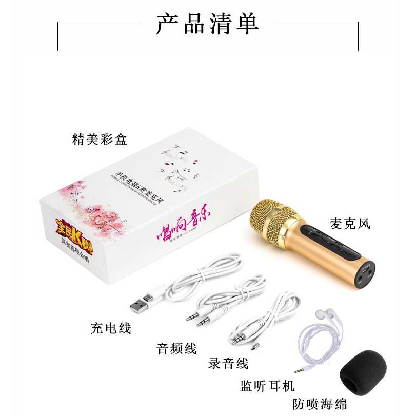 IDN TECH - Lewinner Microphone Condenser Live KTV Karaoke - BGN-C11