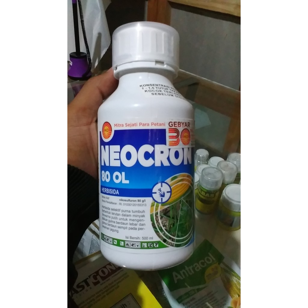 Herbisida Neocron selektif jagung