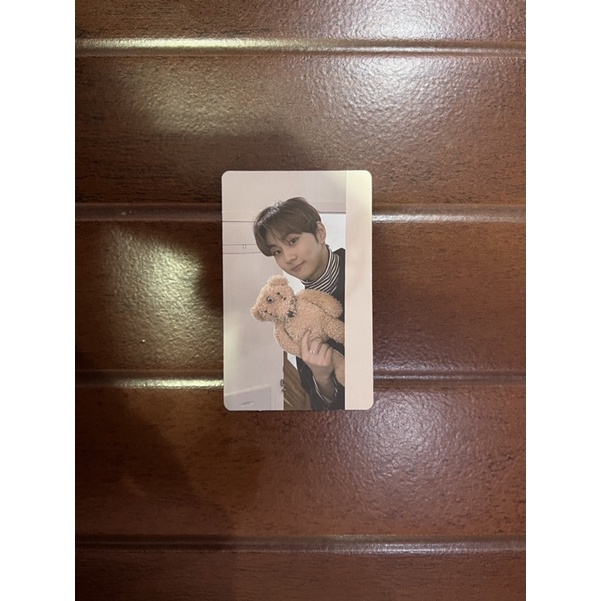 [BOOKED] Photocard / PC Jungwon boneka BORDER:CARNIVAL hype ver & up ver.
