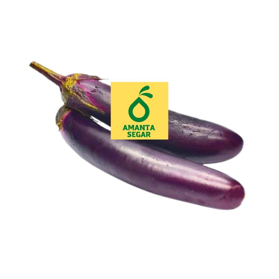 

Amanta Segar Bogor | Sayuran Sayur Terong Ungu Panjang 250gr Segar dan Fresh - Bogor