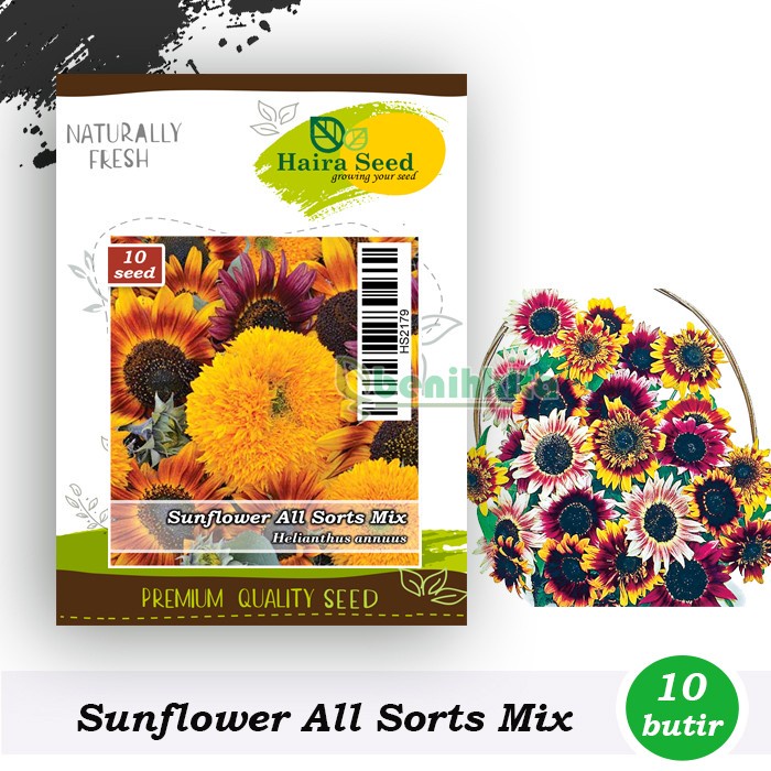 Benih-Bibit Bunga Matahari All Sort Mix (Haira Seed)