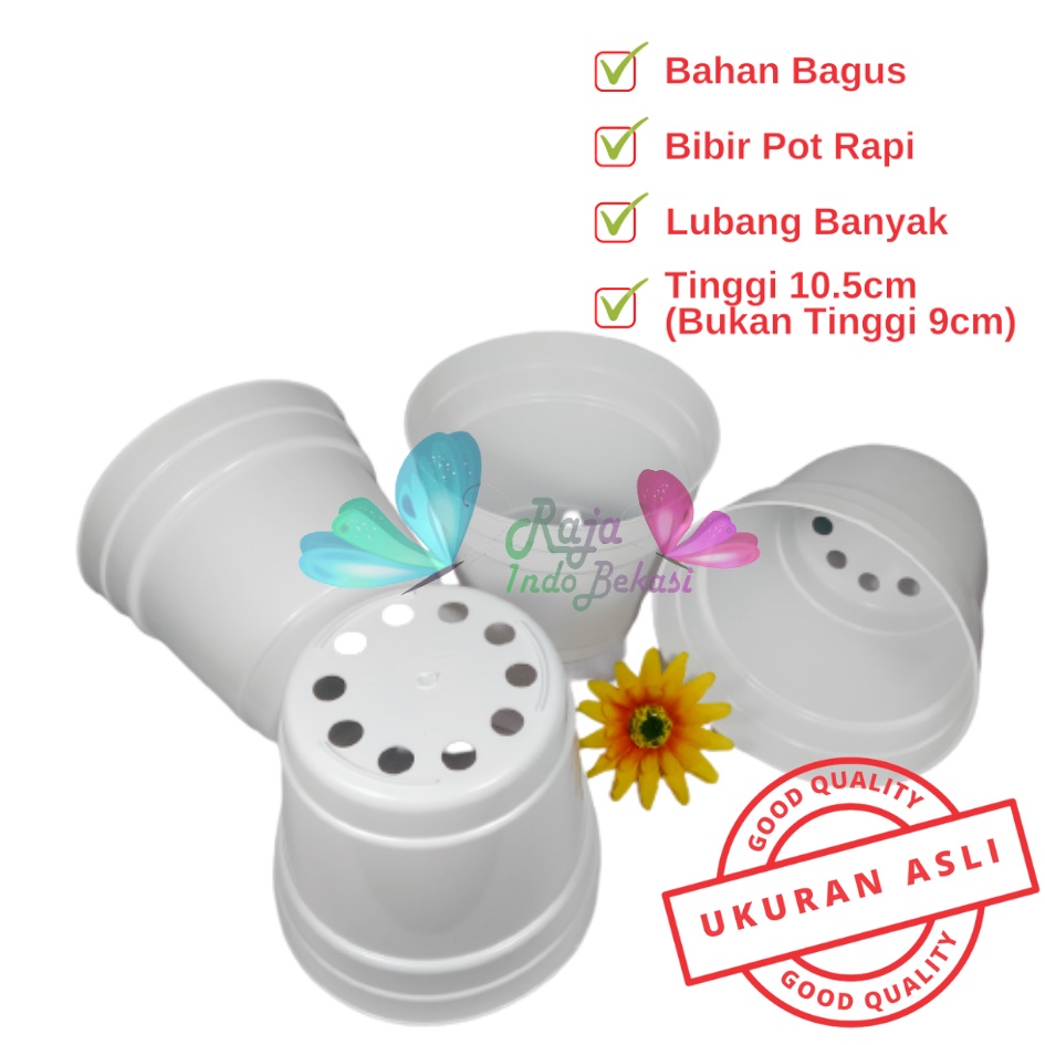 Pot 12 Putih Polos - Pot 12 Cm Putih Kecil Mini Minimalis Plastik Kaktus Sukulen Mini Murah Pot Bibit Pembibitan