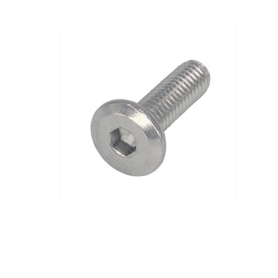 BAUT L STAINLESS STANLES STENLES PAYUNG M6X15