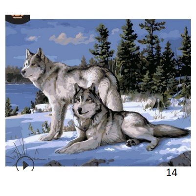 

Diy Painting Animal by Number canvas 40x50cm ( Frame )