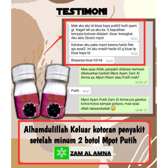 Manjakani Mpot Ayam Herbal Kuat Pria Wanita