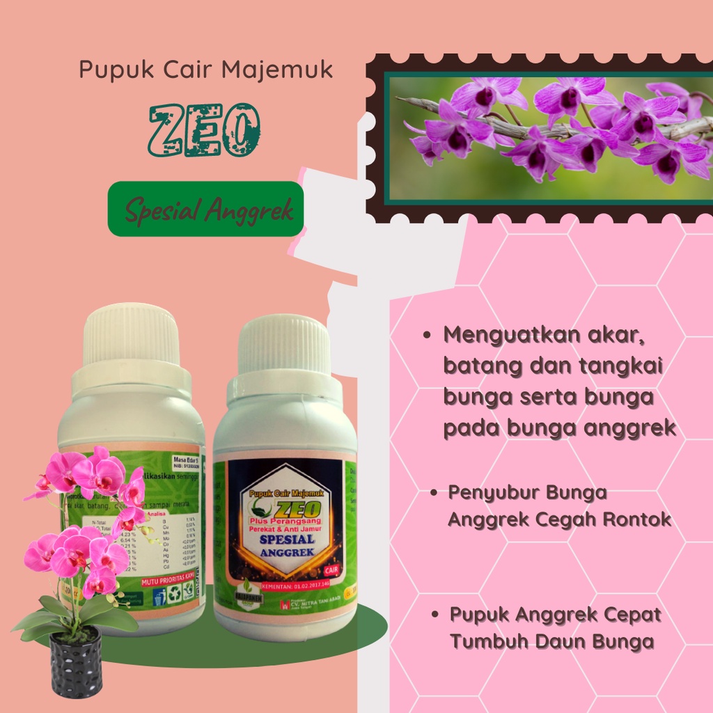 PUPUK ANGGREK TERBAIK, NUTRISI BUNGA ANGGREK, ZEO PUPUK ANGGREK