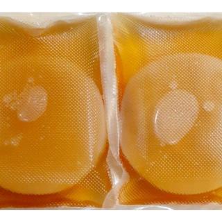 

Bibit Scoby Kombucha Premium Plus Starter