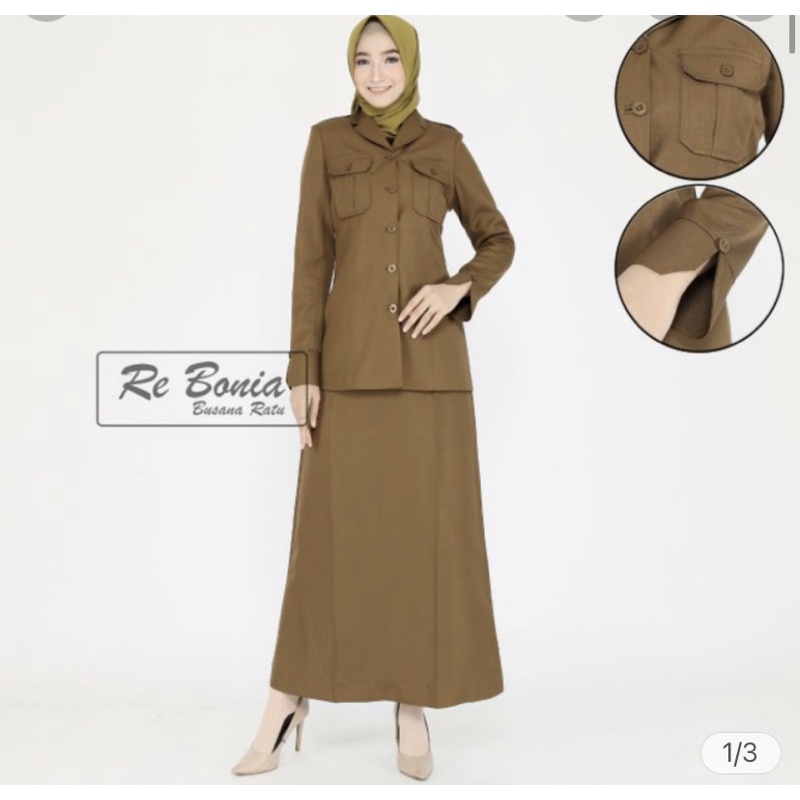 baju Pemda PNS rebonia