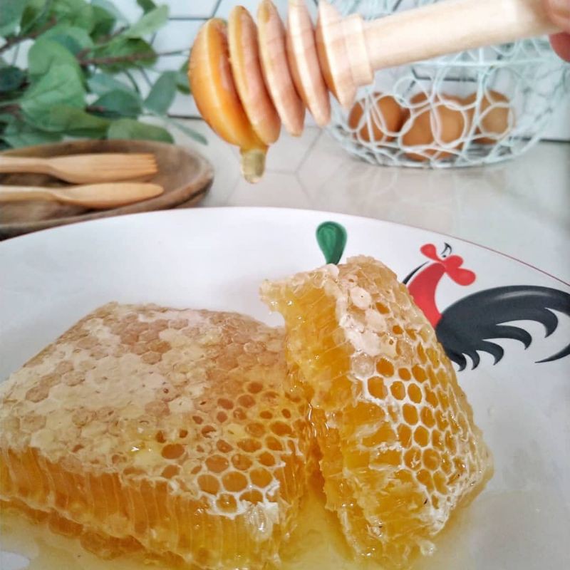 

SARANG MADU MURNI ASLI SUMATERA.