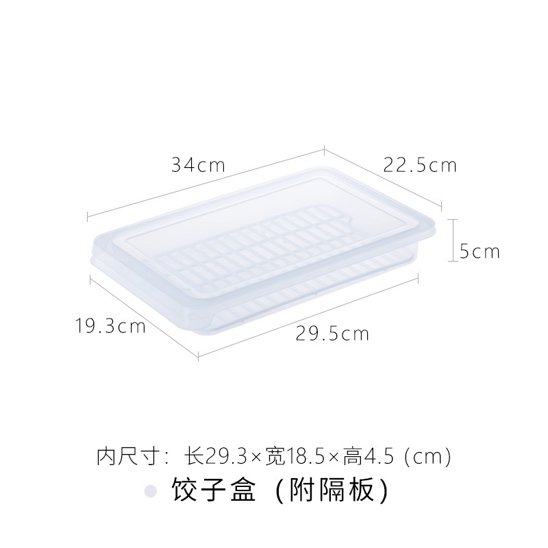 Frozen Food Container / Kotak Penyimpanan Makanan Frozen