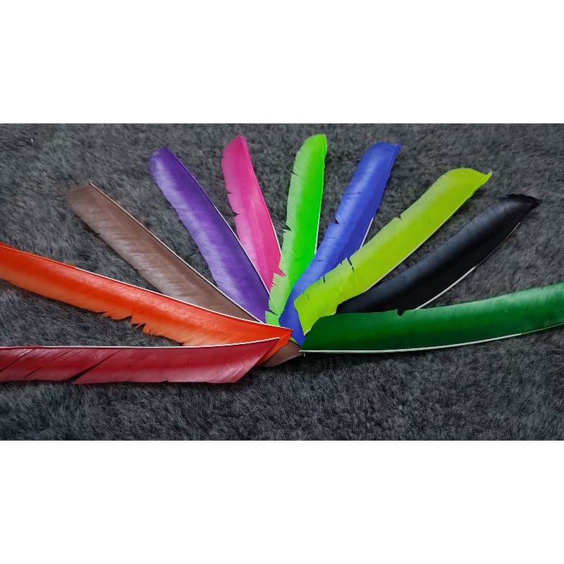 Bulu kalkun import utuh