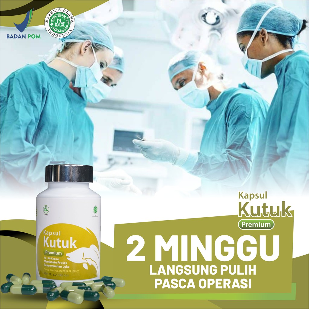 Obat Luka Langsung Kering || Paket 5 Botol Kapsul Kutuk Premium 5x Cepat Sembuh - Albumin Ikan Gabus