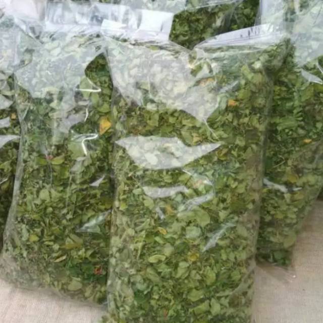 

Daun Kelor Kering