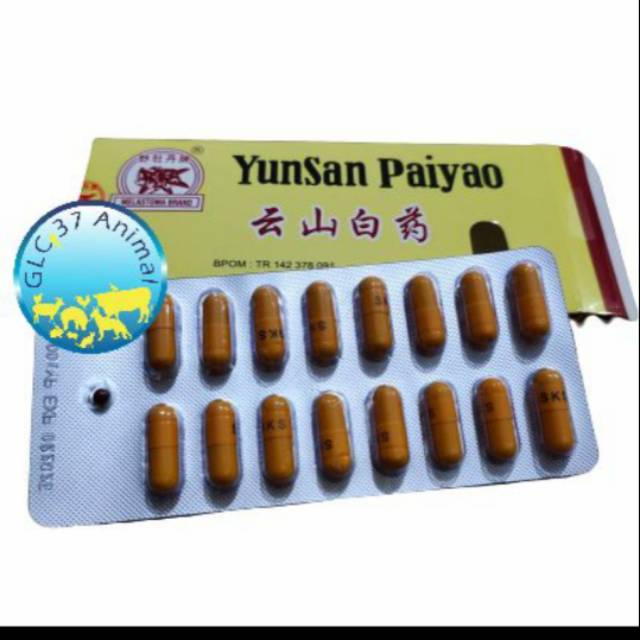 YUNNAN PAIYAO YUNSAN bukan YUNAN BAIYAO obat luka dalam luka memar
