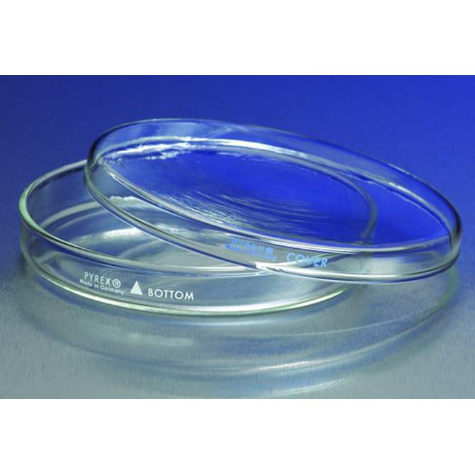 Diskon Pyrex 3160-102 Petri Dish 100X20 | Cawan Petri Barang Berkualitas