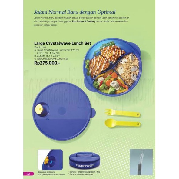 large crystalwave lunch set tupperware