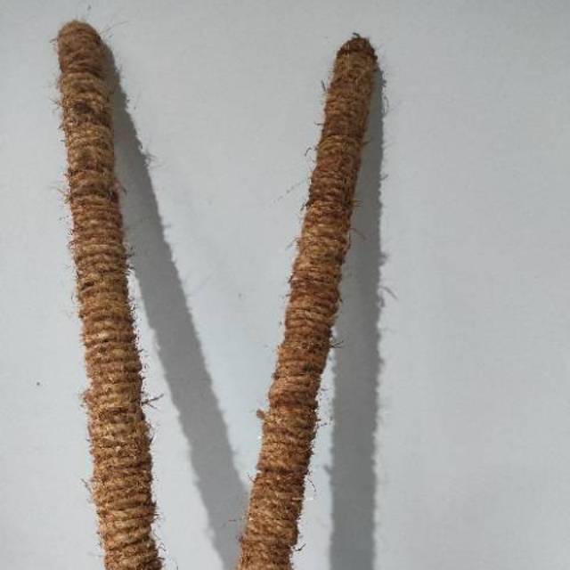 Turus Sabut 100 cm / Turus Penyangga / Turus penyangga tanaman
