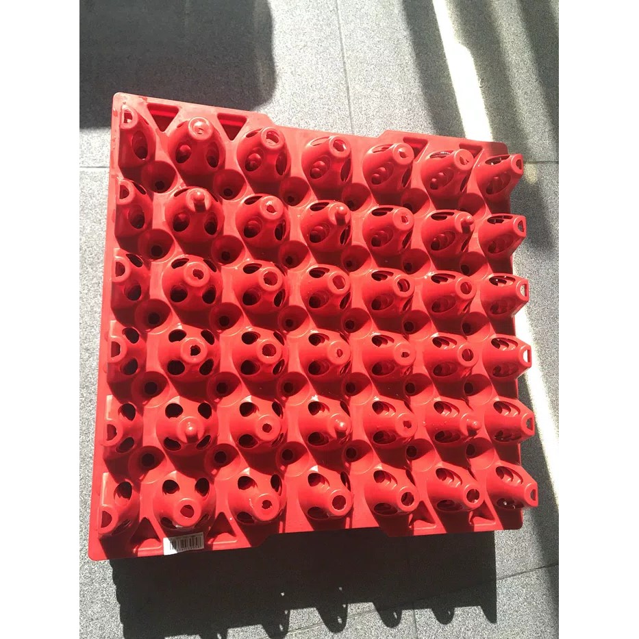 Egg Tray plastik telur