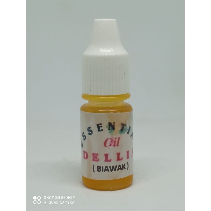 Essen Bibit Biawak