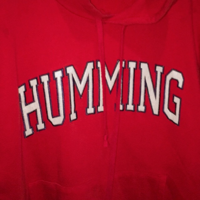 HOODIE HUMMING