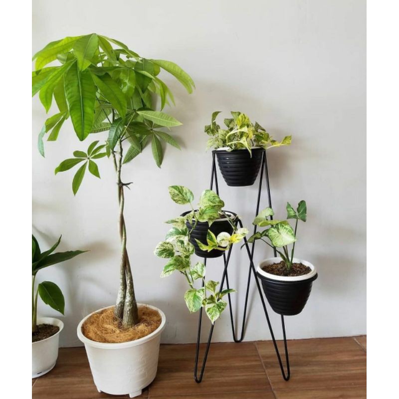 TINGGI 60CM Standing Pot 3in1 / POT DUDUK 3 LUBANG