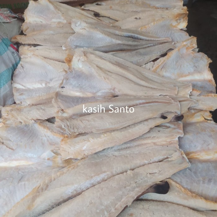 

Q124521 Ikan Asin Jambal 500Gram Dw501Sqs