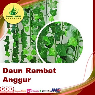 Jual Daun Rambat Meter Jenis Anggur Untuk Dekorasi Dinding Buat