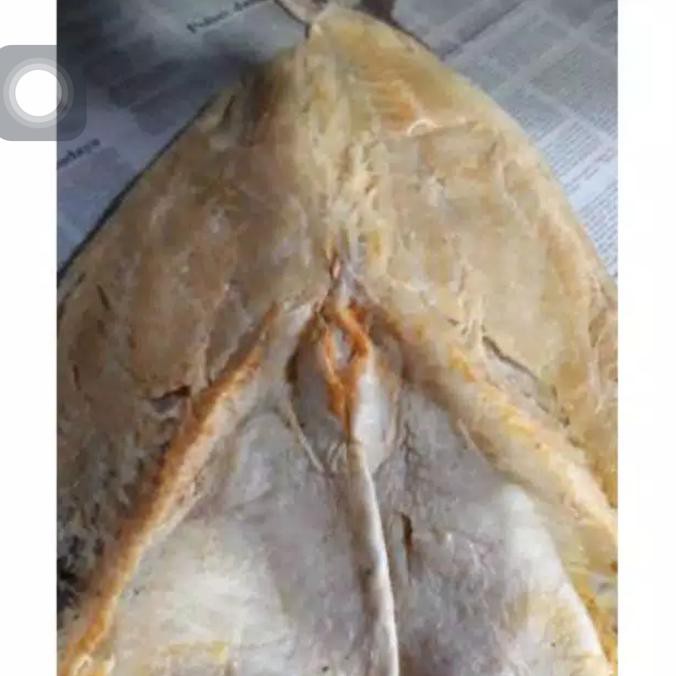 

Makanan Kering Ikan Asin Jambal Roti Super Premium