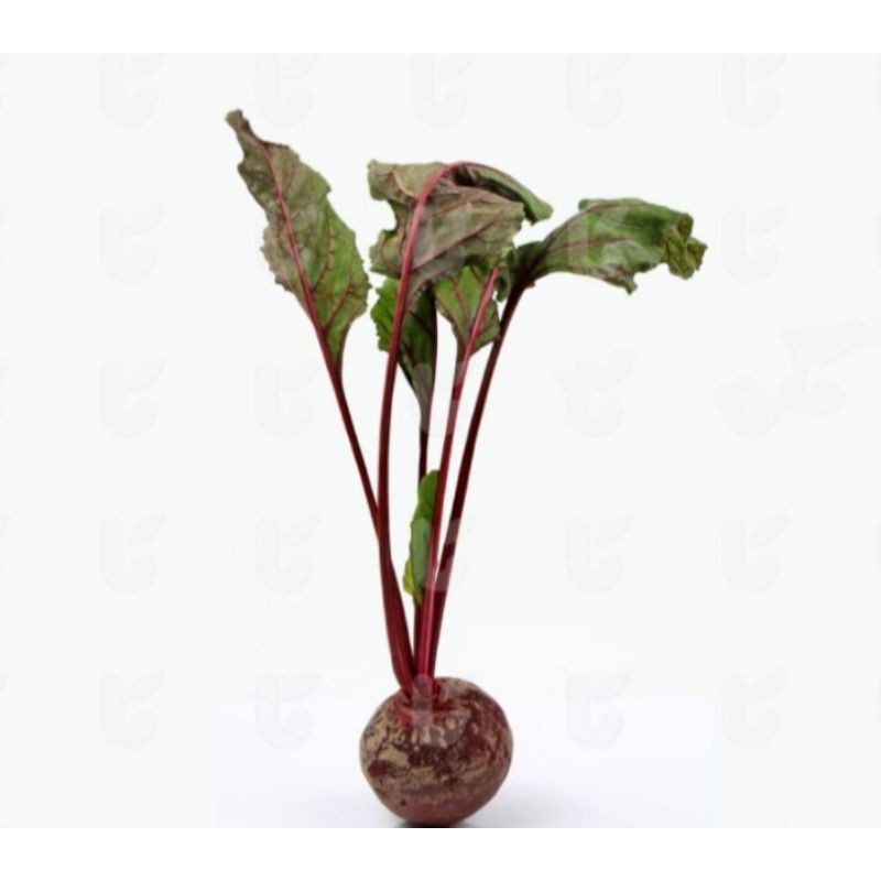 

Beetroot 2 pcs