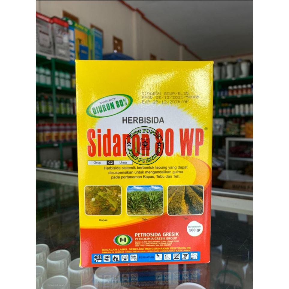 SIDARON 80WP 500GR Herbisida/racun rumput/obat rumput