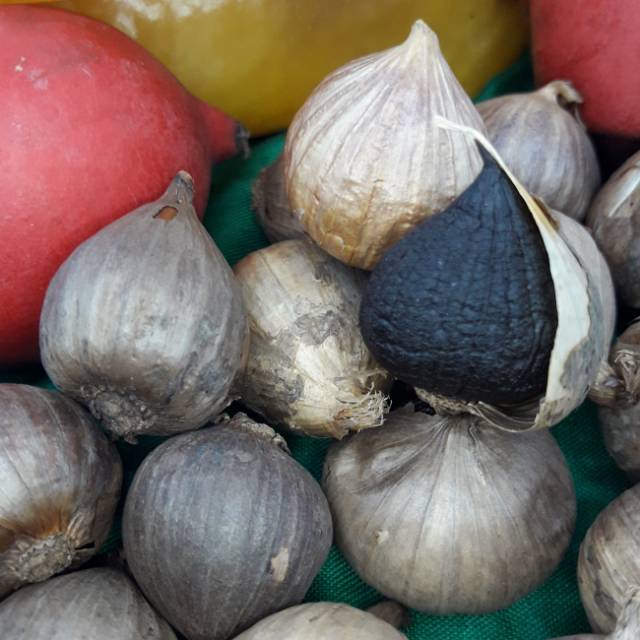 

Bawang Hitam Tunggal Natural Solo Black Garlic kering dan empuk