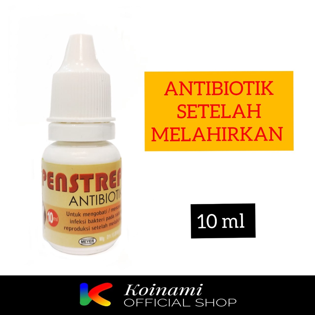 PENSTREP ANTIBIOTIK UNTUK KUCING ANJING SETELAH MELAHIRKAN / BTM